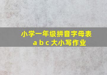 小学一年级拼音字母表a b c 大小写作业